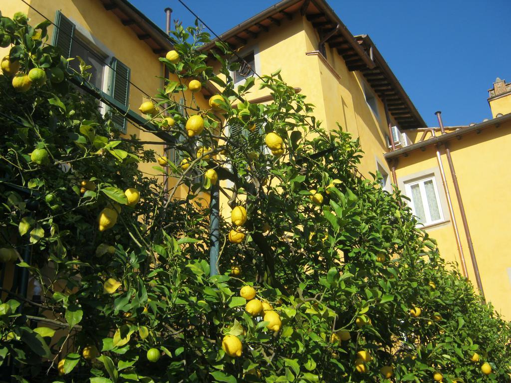 Holiday Home Il Borgo Degli Agrumi Uzzano Exterior foto